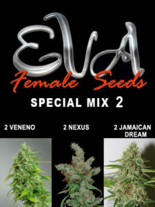 EVA MIX-2