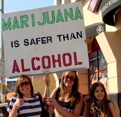 propuesta19_california.jpg