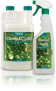 canna_cure