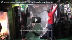 montaje-armario-dark-room-cultivo-cannabis