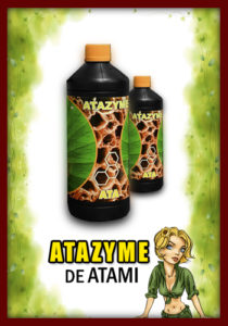 atazyme_blog