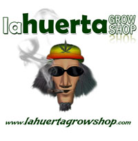 perfil facebook