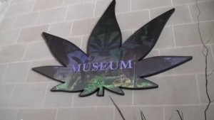 museo-marihuana