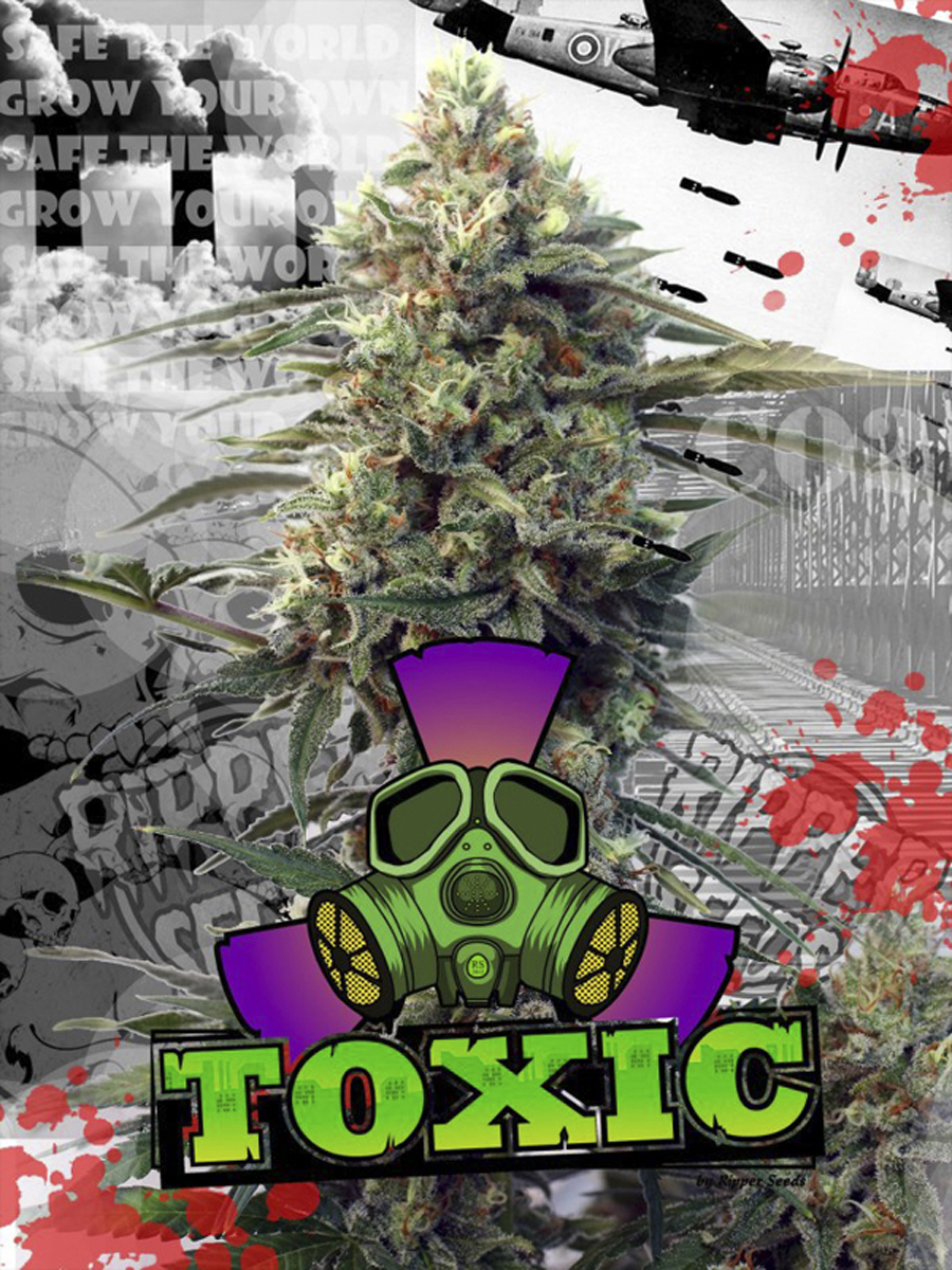 Toxic, Ripper Seeds