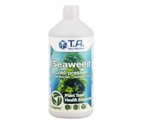 Seaweed - Terra Aquatica