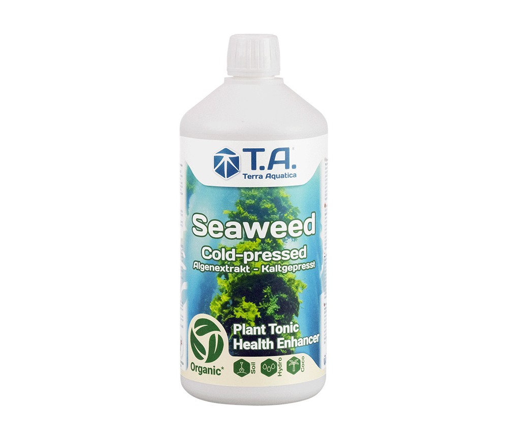 Seaweed - Terra Aquatica