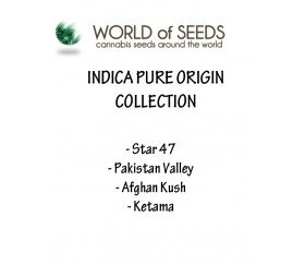 Indica Pure Origin Collection de World Of Seeds