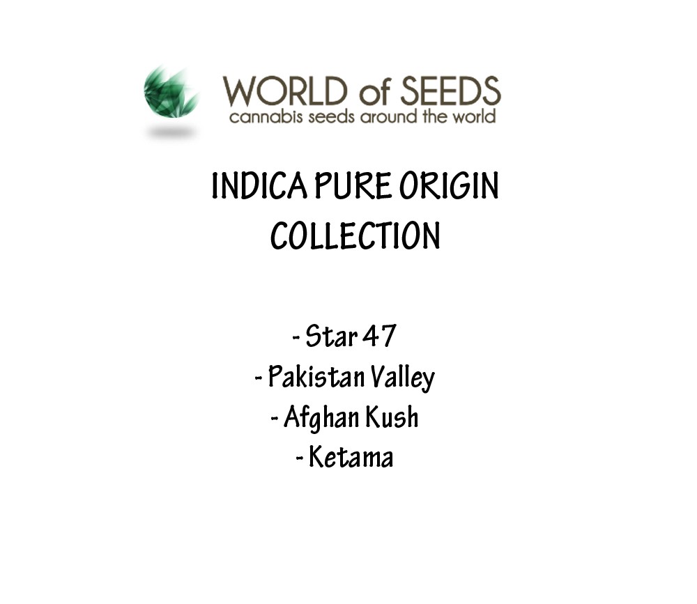 Indica Pure Origin Collection de World Of Seeds