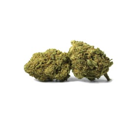 Zkittlez CBD de Natural Suit