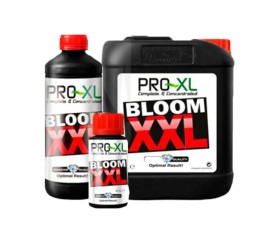 Bloom XXL de Pro XL