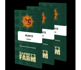 Runtz de Barney’s Farm