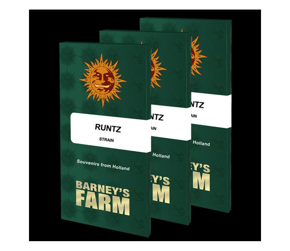 Runtz de Barney’s Farm