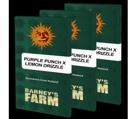 Purple Punch x Lemon Drizzle de Barney’s Farm