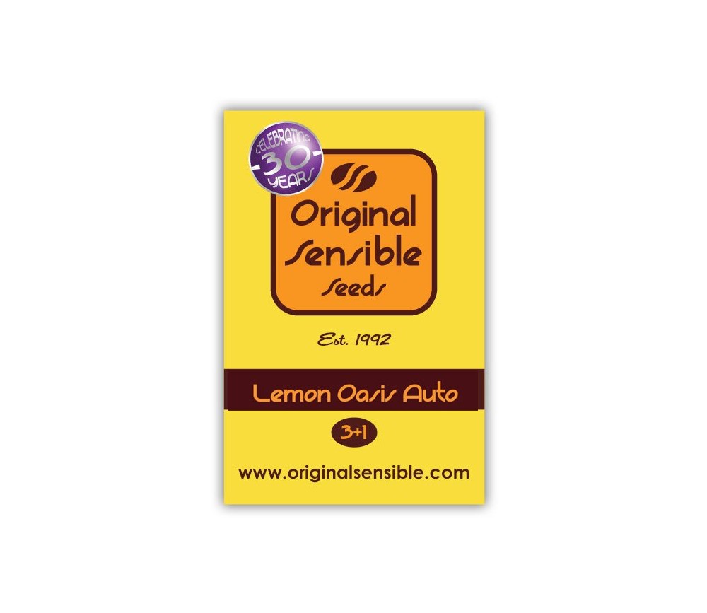 Auto Lemon Oasis de Original Sensible Seeds