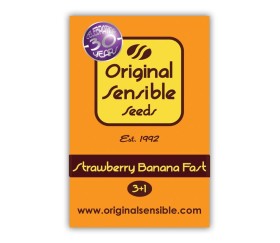 Strawberry Banana FV de Original Sensible Seeds