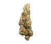 Wedding Cake Auto de Royal Queen Seeds