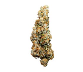 Wedding Cake Auto de Royal Queen Seeds