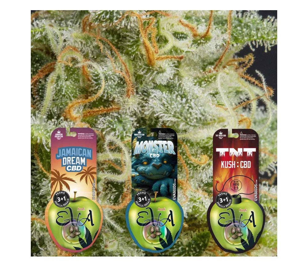 Pack de semillas Balance 1 de Eva Seeds