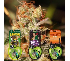Pack de semillas Cítricas 1 de Eva Seeds