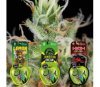 Pack de semillas Sativa Lovers 2 de Eva Seeds