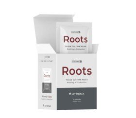 Athena Roots Culture de Athena