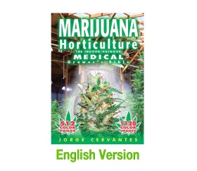 English Version