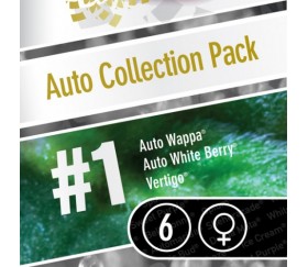 Auto Collection Pack 1