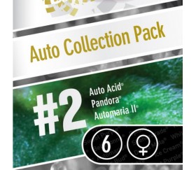 Auto Collection Pack 2 de Paradise Seeds