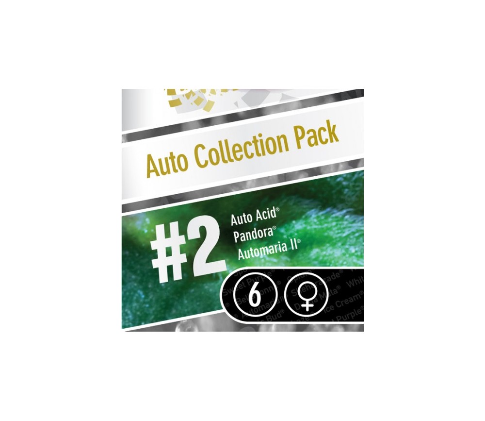 Auto Collection Pack 2 de Paradise Seeds