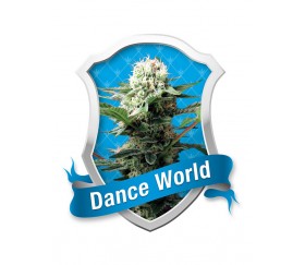 Dance World de Royal Queen Seeds