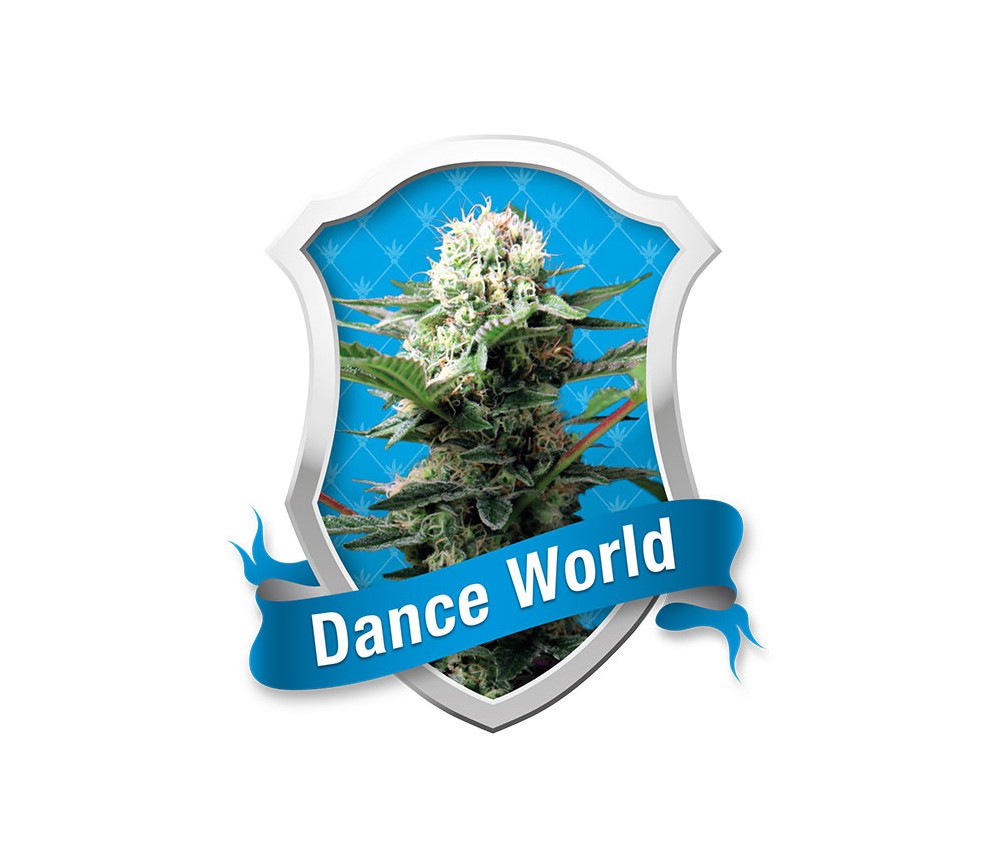 Dance World von Royal Queen Seeds