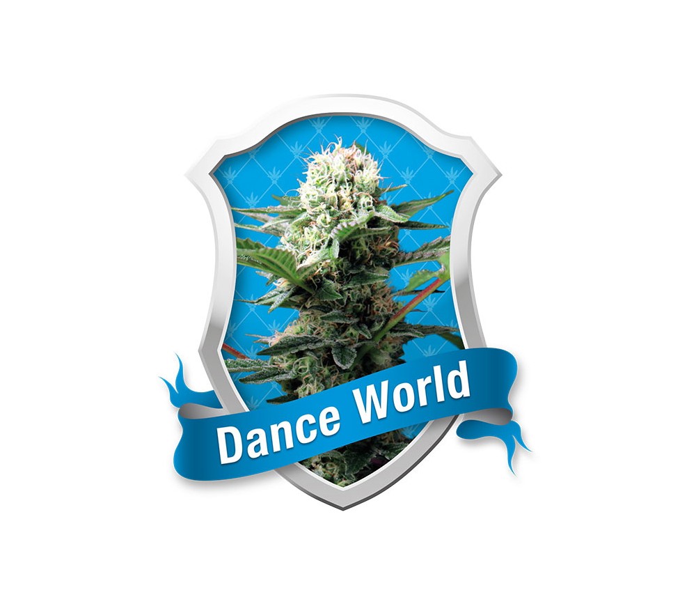 Dance World by Royal Queen Seeds