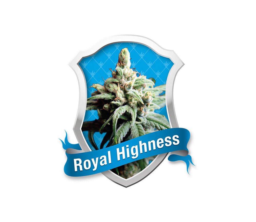 Königliche Hoheit von Royal Queen Seeds