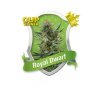 Royal Dwarf Auto de Royal Queen Seeds