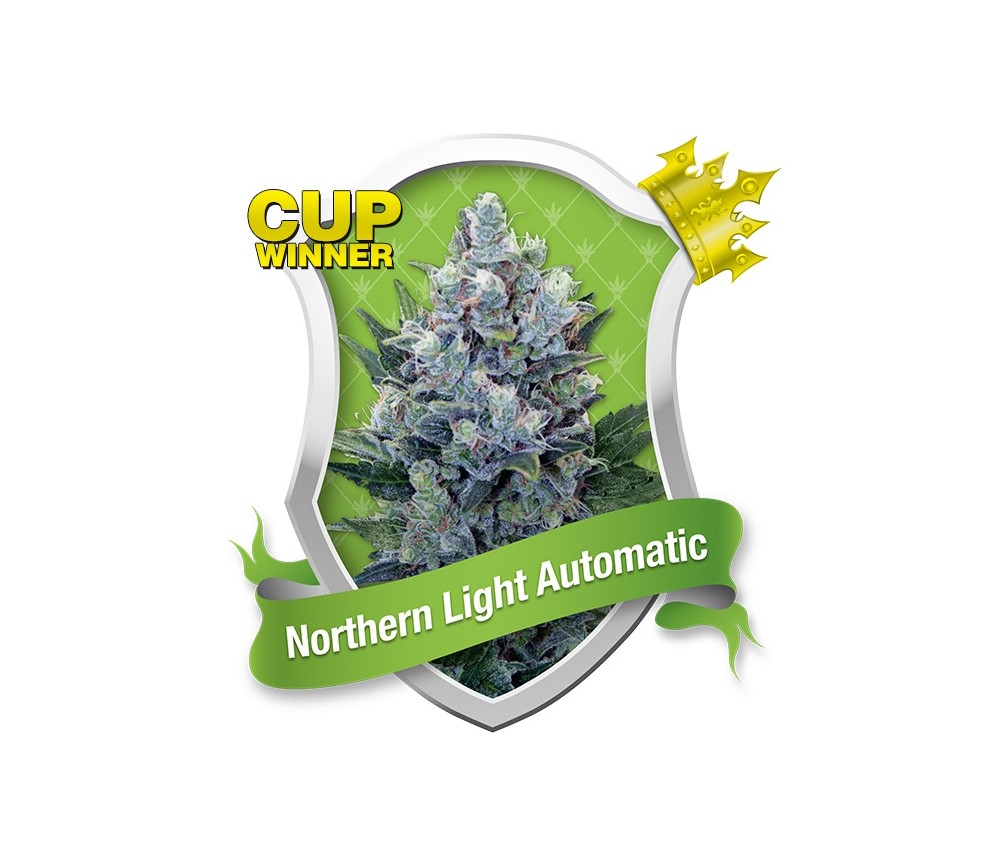 Northern Light Automatic by Royal Queen Seeds