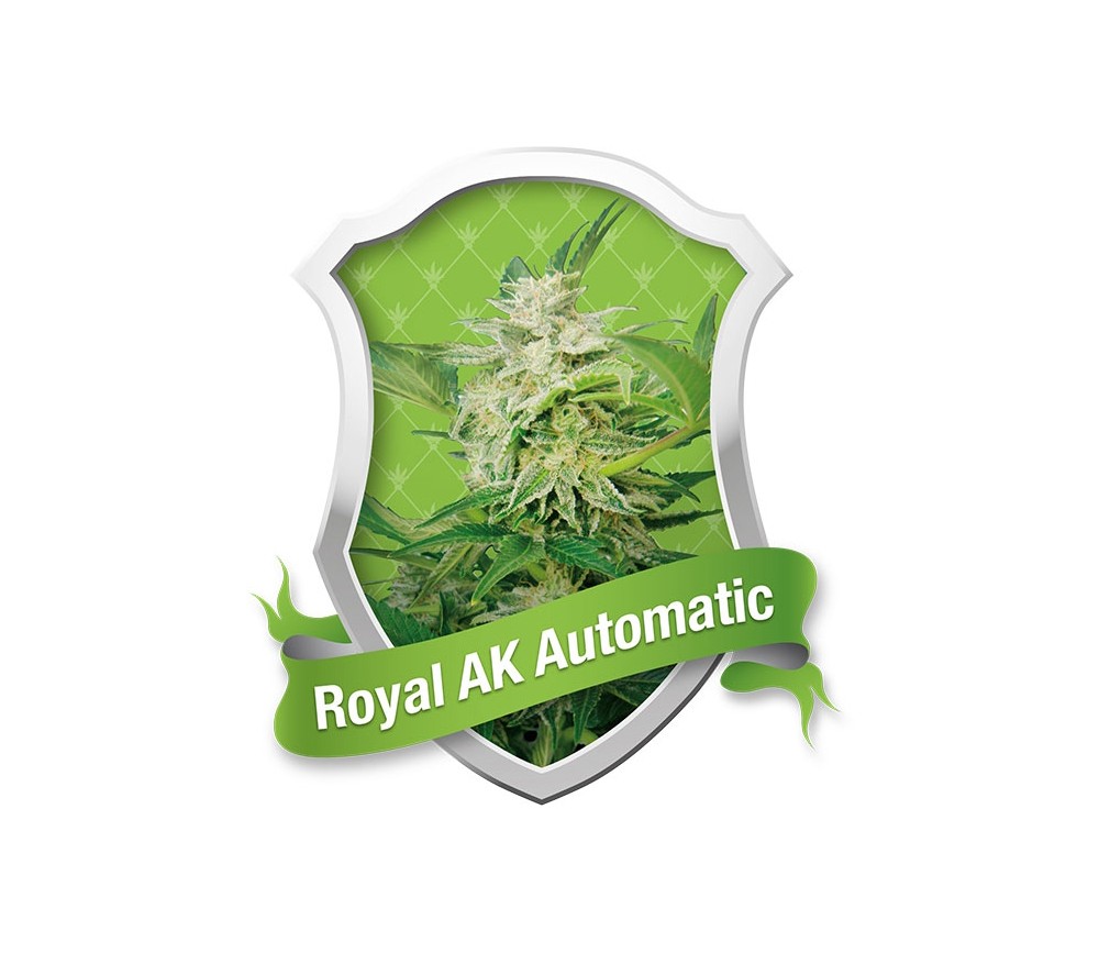 Royal AK Automatic by Royal Queen Seeds