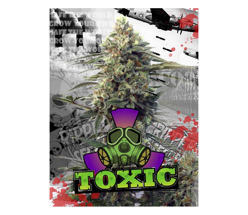 Toxic de Ripper Seeds