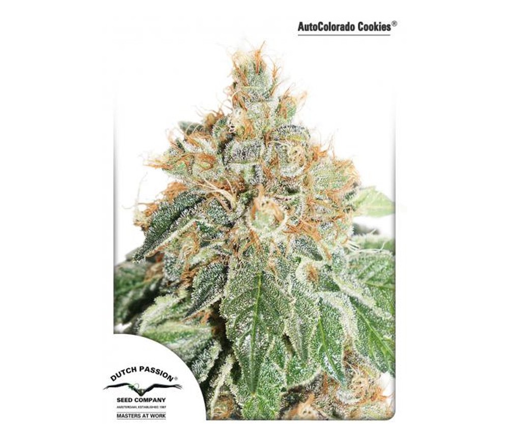 AUTOCOLORADO COOKIES