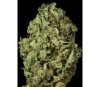 Sour Diesel Auto Dinafem Seeds