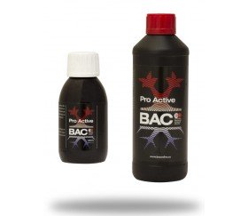 BAC - Pro Active