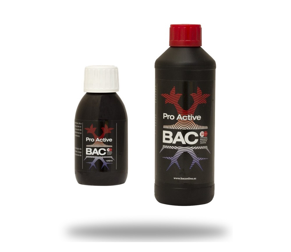 BAC - Pro Active