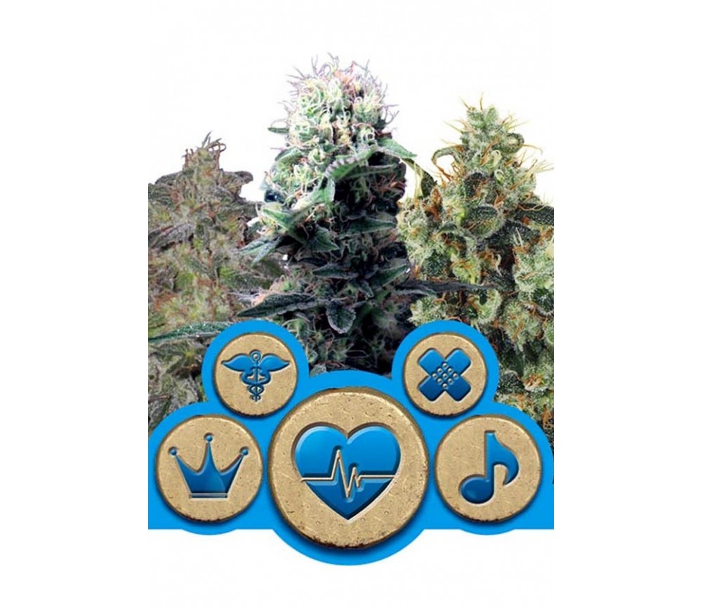 CBD Mix de Royal Queen Seeds