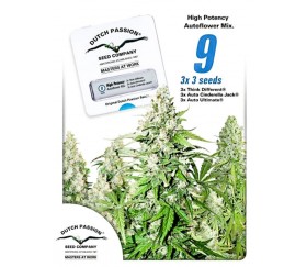 HIGH POTENCY AUTOFLOWER MIX