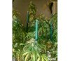 Deadhead OG - Cali Connection