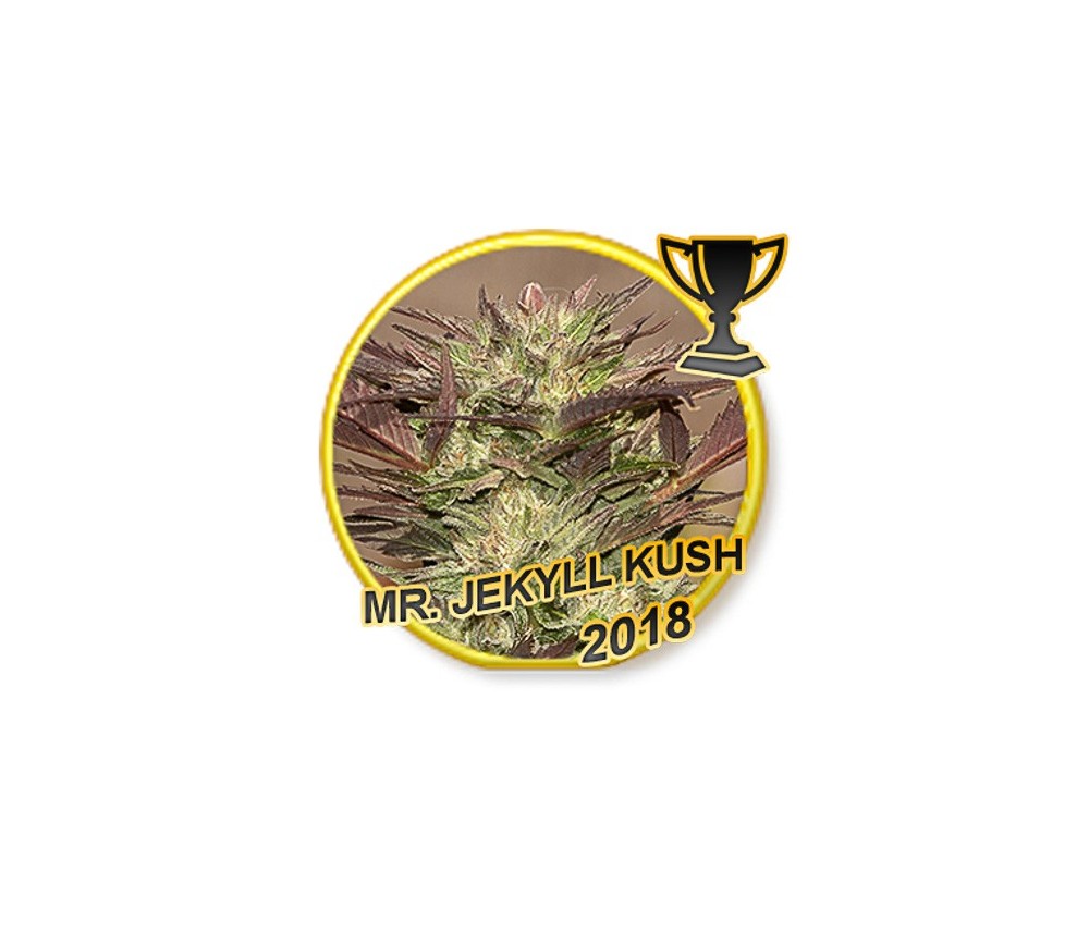 Mr Jekyll Kush - Mr Hide Seeds