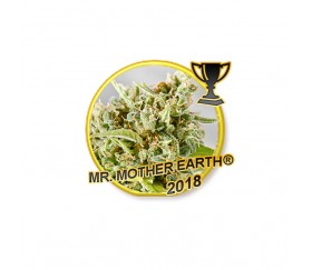 MR. MOTHER EARTH