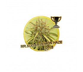 Mr. Sugar Lemon Haze - Mr. Hide Seeds