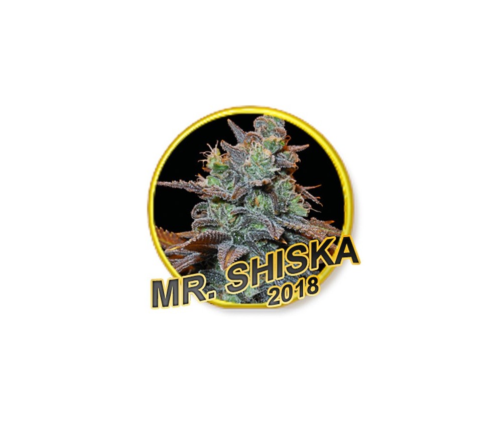 Mr. Shiska - Mr. Hide Seeds