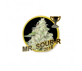 Mr. Sour-R - Mr. Hide Seeds