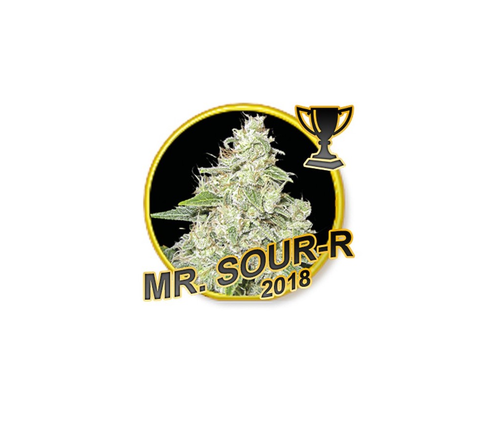 Mr. Sour-R - Mr. Hide Seeds